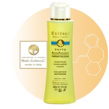 Load image into Gallery viewer, Phyto Action Purifiante Shampoo - ESTERÈL